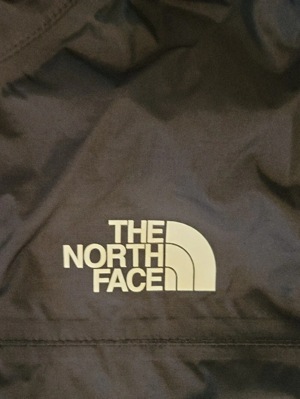 The North Face Navy Blue Hooded Jacket